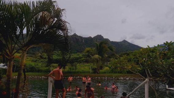 FIJI: Tifajek Mudpool & Hotspring Tickets, Tours & Transfers