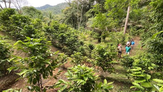 Chocolate, Vanilla and Coffee Tour