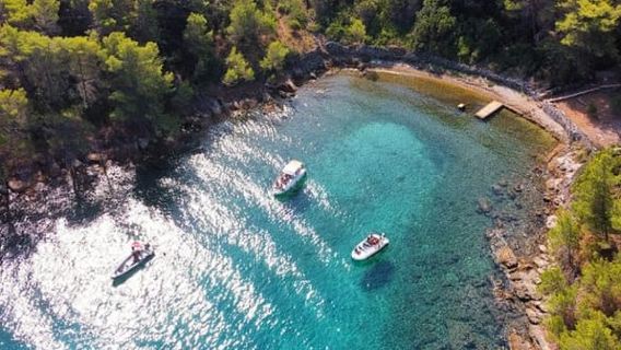 扎達爾：烏格連島與奧什利亞克島 3 站遊船之旅
