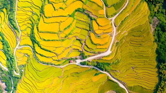 Qingyuan hiburan tulen pakej persendirian lawatan sehari | Teres Sawah Oujia + Sungai Bawah Tanah Lianzhou + Tiga Gaung Huangchuan