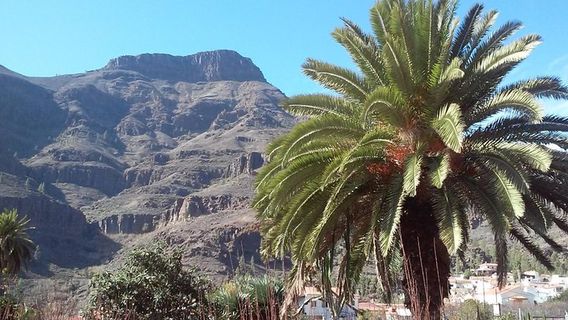 Gran CanariaTours