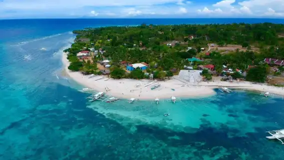 Bohol Island: Dolphin Watching + Pamalican Island Snorkeling 1-day Tour|round-trip transfer