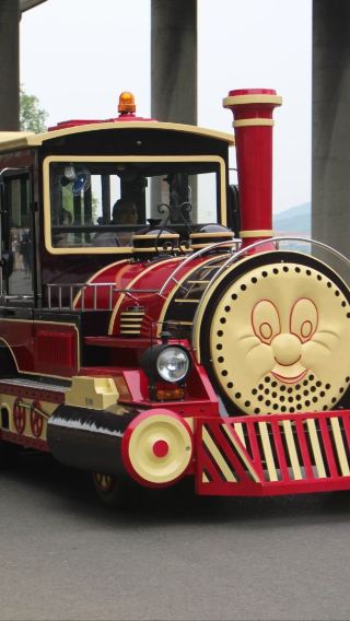 橘子洲半日遊【精品遊丨深層次丨含小火車丨代預約門票】