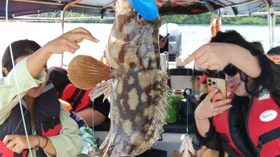 蘭卡威日遊