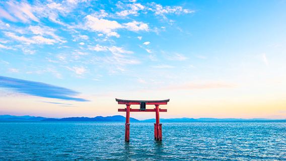 Une excursion d'une journée au lac Biwa dans la préfecture de Shiga, comprenant une visite de la porte torii flottante du sanctuaire Shirahige et d'un joyau caché d'un musée.