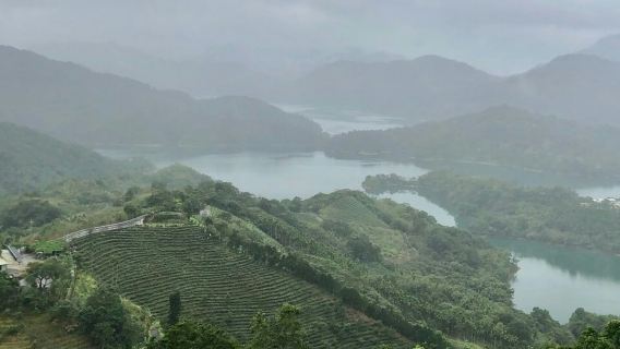 Pinglin-Teekultur & Maokong: Geführte Tagestour ab Taipeh + Gondelfahrt