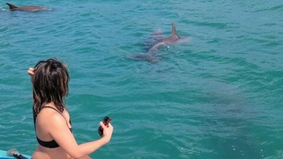 Miami: Naturaleza y exploración de islas en SUP/Kayak