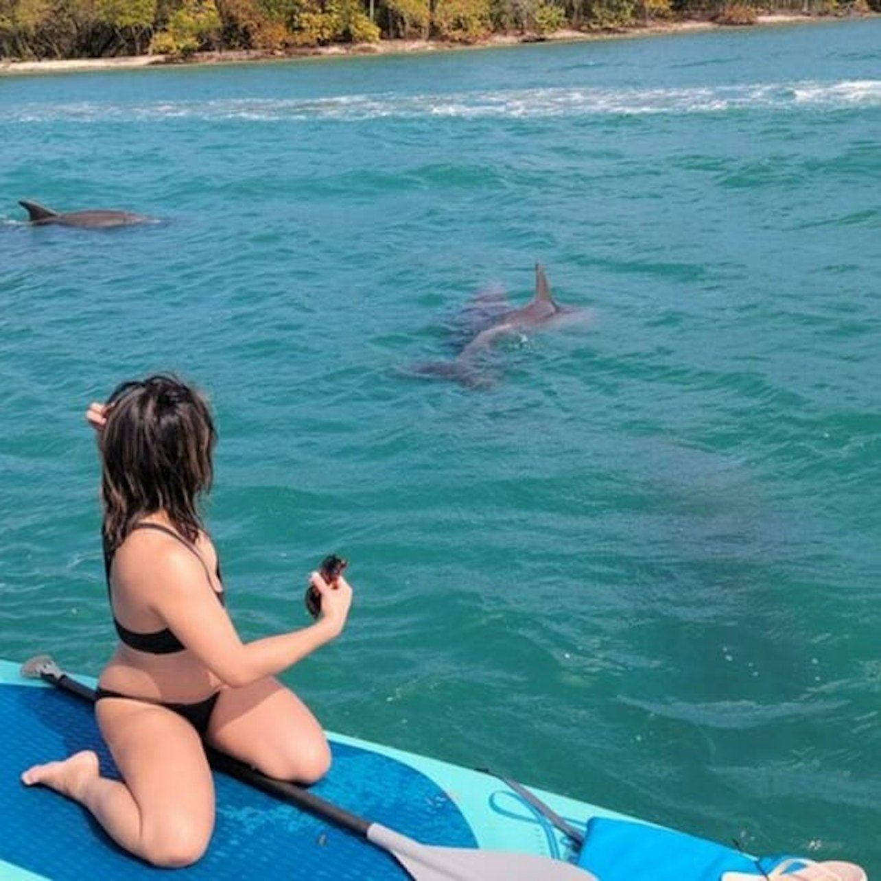 マイアミ：SUP/カヤックで自然と島の探検