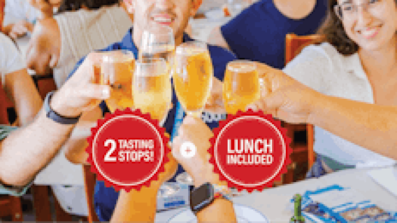 Lisbon walking guided tour with food tasting and ferry tickets