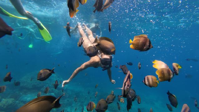 Nusa Penida: Manta Point snorkelen 2 locaties met hotelophaalservice Bali
