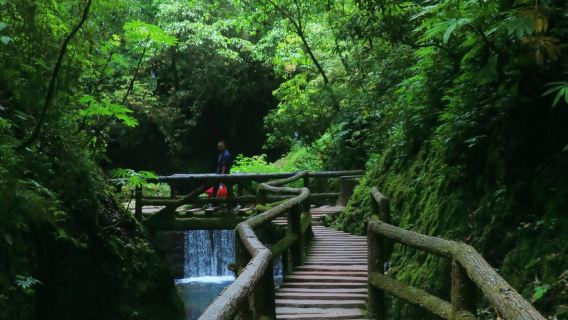 Da Chengdu: Montagna Qingcheng + Città antica di Jiezi + Tempio Puzhao guida C in inglese, russo, tedesco, italiano, francese, giapponese e coreano