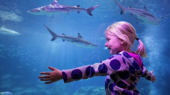 SEA LIFE Oberhausen: Entry Ticket