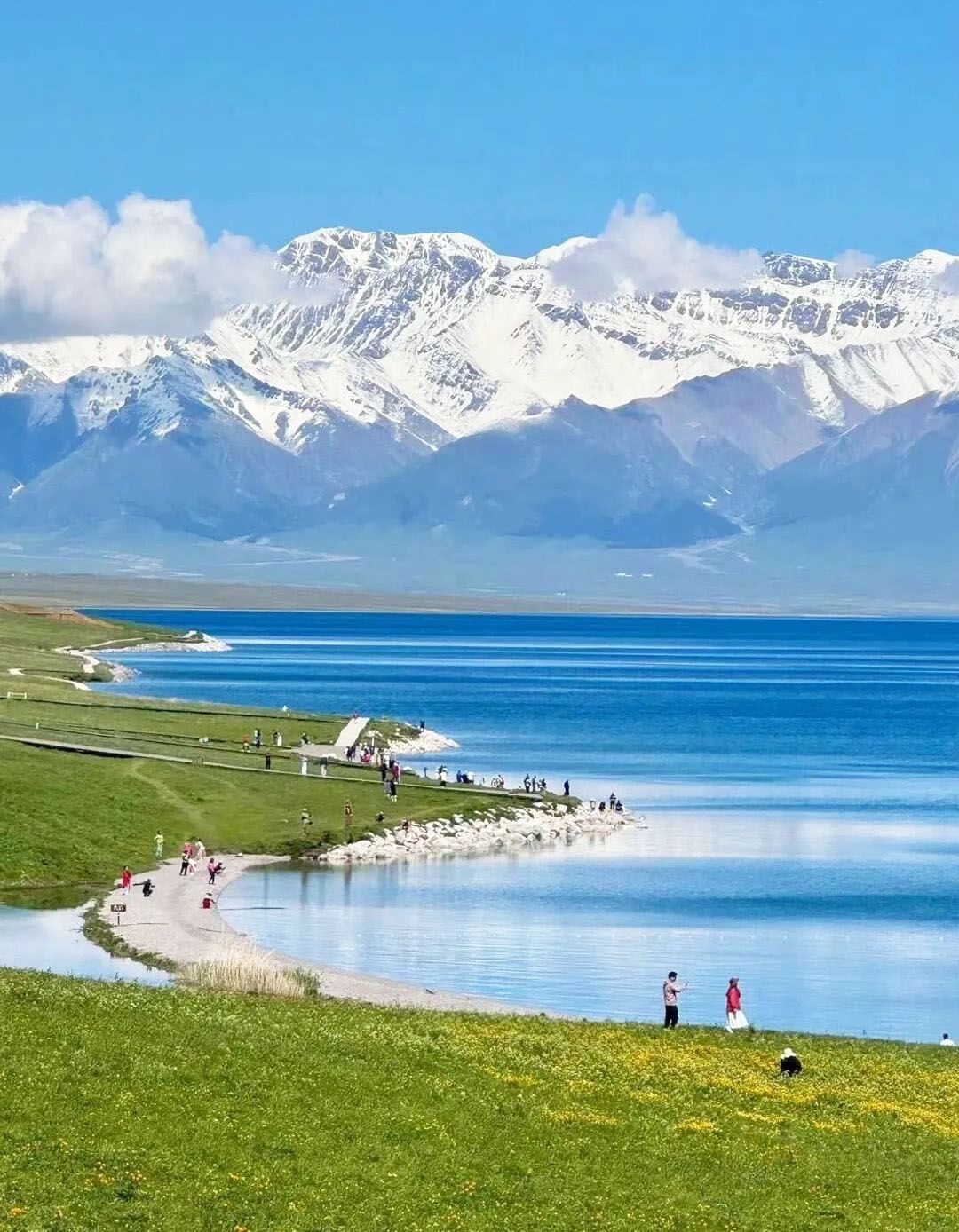 新疆賽里木湖一日遊【商務車博樂來回 含門票+環湖】