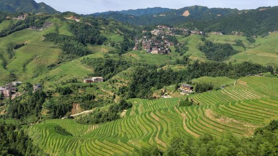 1-Day private Longji rice terraces with the Ping'an and Dazhai tour