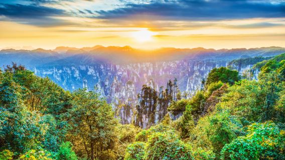 장가계 국가삼림공원 4일권 + 4일 이내 케이블카 및 사다리 무제한 탑승 + 친환경 차량 + 보험(성인 입장권)