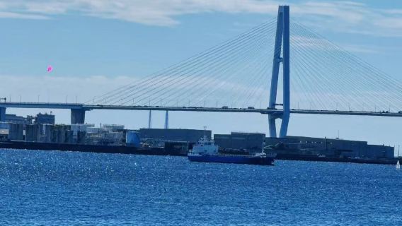 日本名古屋港水族館+樂高樂園一日遊【中文司機/行程定制】