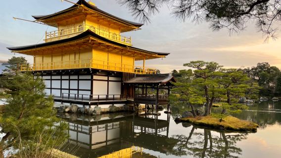 日本京都&宇治拼團金閣寺&清水寺&平等院&宇治川&兔子神社