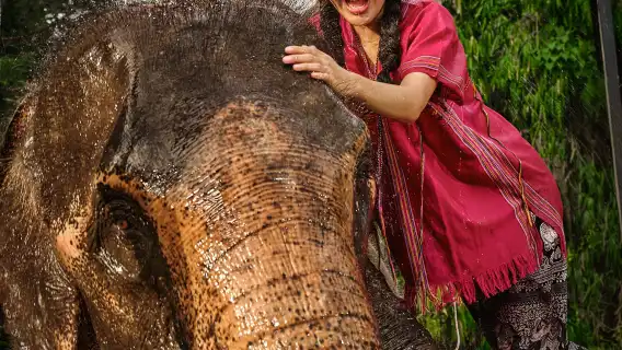 曼谷出發|大象營半日體驗 + 泰式鼻通DIY+享接送午餐