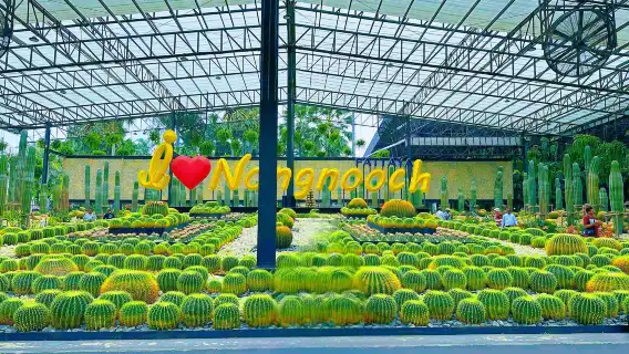 【可選真理寺/芭堤雅大象村/海灘】東芭樂園+四方水上市場一日遊