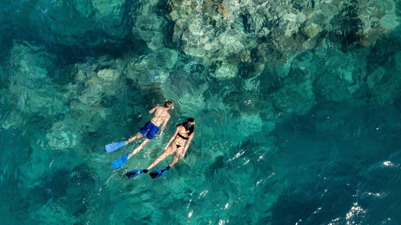 Hamilton Island Great Barrier Reef Snorkeling/Scuba Diving Day Tour