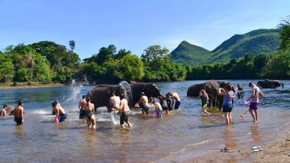タイ・カンチャナブリー エレファントワールド ワンデーツアー【エラワン国立公園】