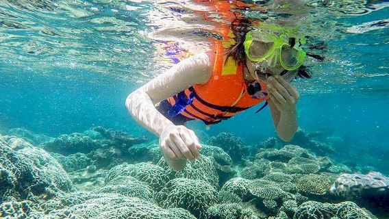 Cham Island Day Tour from Da Nang or Hoi An | Speedboat + Sightseeing + Snorkeling + Optional Diving + Lunch