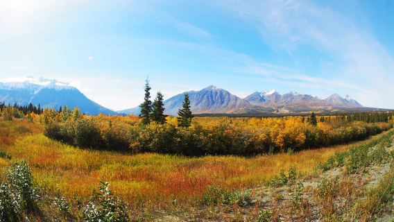 Kluane National Park: Full Day Tour