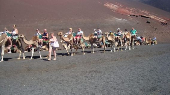 Lanzarote: Timanfaya National Park Tour