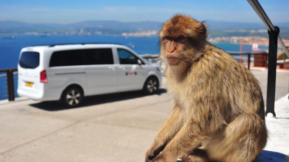 Gibraltar: Private Highlights Tour with Entry Tickets