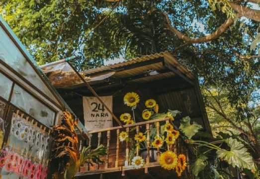 Book after consultation/Chiang Mai's Wat Phra That Doi Suthep, Chiang Rai's Tapae, Wat Suan Dok, Wat Chiang Man, Wat Phra Singh, Wat Rong Khun -...