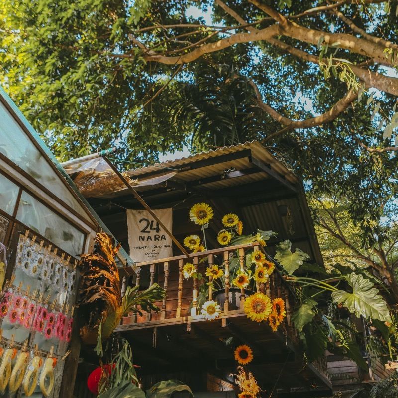 Book after consultation/Chiang Mai's Wat Phra That Doi Suthep, Chiang Rai's Tapae, Wat Suan Dok, Wat Chiang Man, Wat Phra Singh, Wat Rong Khun - White Temple, Blue Temple/Airport/Point-to-point transportation/Tour guide & driver services/Private car service