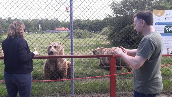 Budapest: Vận chuyển & Tham quan có hướng dẫn tại Khu bảo tồn Gấu và Sói