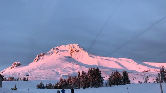 Desde Portland: tour de un día a cascadas, Monte Hood y vino