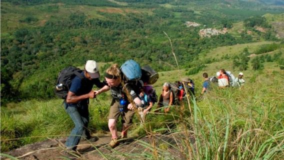 "Tour riêng trong ngày ở Munnar: Đi bộ đường dài và ngắm cảnh đẹp"