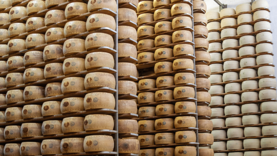 Percubaan & Lawatan Kilang Parmesan di Formigine, berhampiran Modena