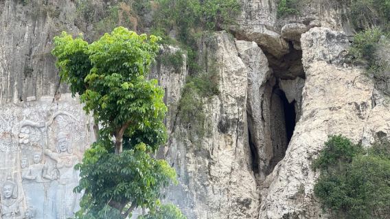 Battambang: Bamboo Train and Bat Cave from Siem Reap