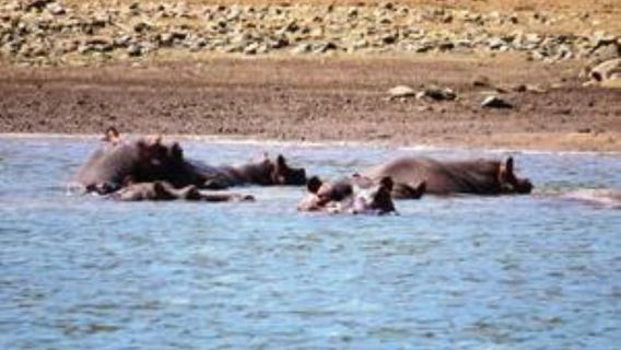 Худспрут: круиз на лодке по плотине каньона реки Блайд