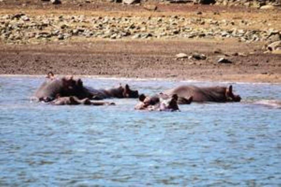 Hoedspruit: crucero en barco por la presa del cañón del río Blyde