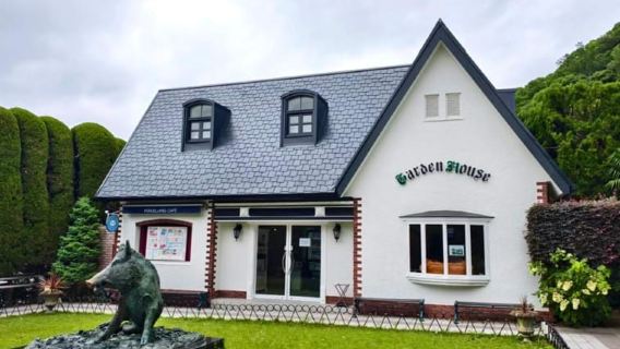 Osaka: tour in autobus della città di Kobe con viste panoramiche e giardini