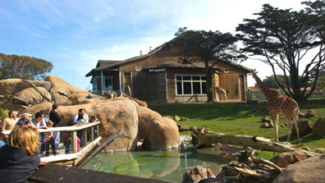 San Francisco 1-day tour: Palace of Fine Arts + Coit Tower + Cable Cars + San Francisco Zoo