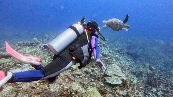 Taucherlebnis in Saipan, USA: Gerätetauchen/Schnorcheln/OW-Zertifizierung/AOW-Zertifizierung für 1 Stunde [Hoteltransfer + chinesischsprachiger Tauchlehrer + vollständige Tauchausrüstung für Lau Lau Bay]