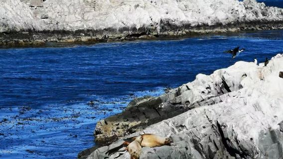 阿根廷烏蘇懷亞世界盡頭博物館+火地島國家公園【標準配備中文導遊】