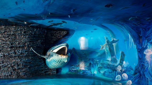 深圳歡樂海岸奇夢館 蓮花山公園 甘坑古鎮一日游