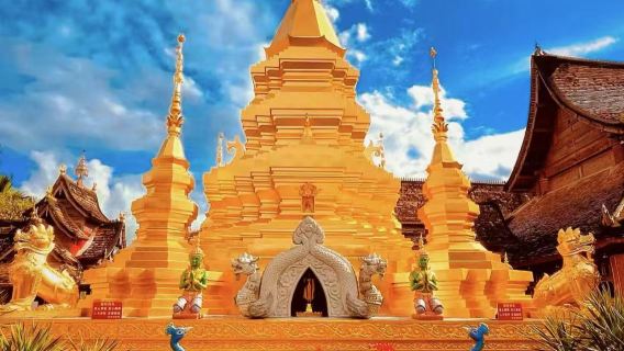 中科院西雙版納熱帶植物園+傣族園一日遊2-8人團+真純玩不進店