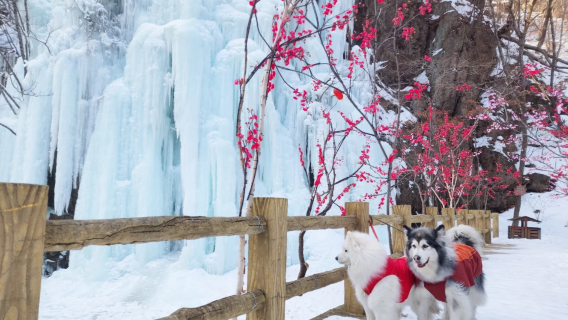 瀋陽出發本溪關門山國家森林公園包車一日遊（本地可靠口碑司機）