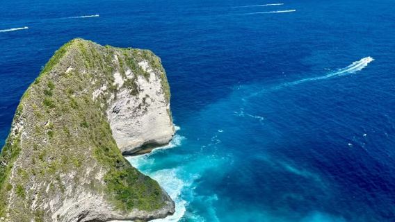 Beyond Bali: Discover Nusa Penida's Hidden Coves & Thrilling Eco-Explorations day tour