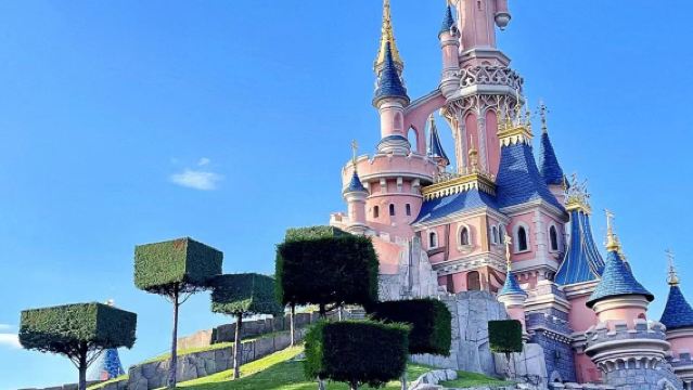 Paris Disneyland Special Shuttle - Direct Pickup or Drop-off Without Waiting