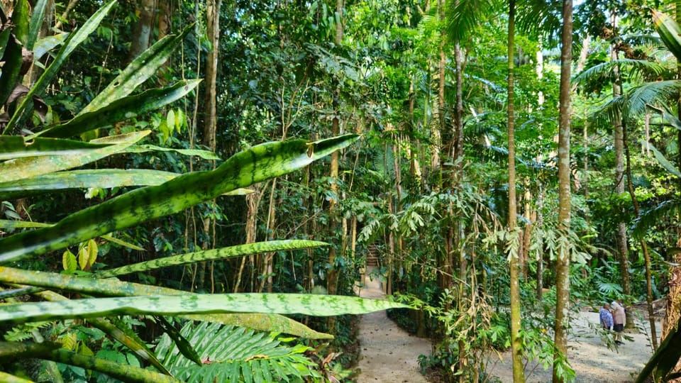 Cairns: Paronella, Lake Barrine & Millaa Millaa Falls Tour