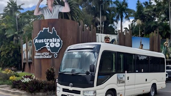 Excursión de un día al zoológico de Australia desde Brisbane