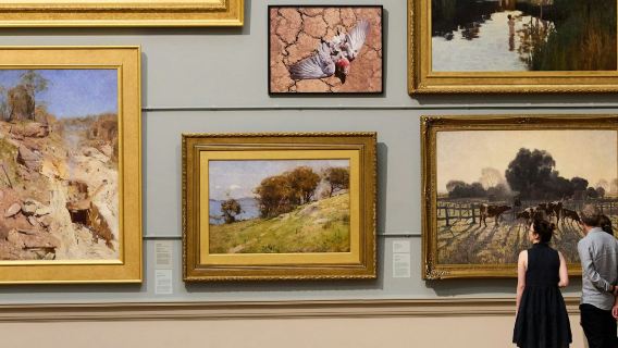 Galería de Arte de Nueva Gales del Sur: Visita guiada sobre historias del arte australiano